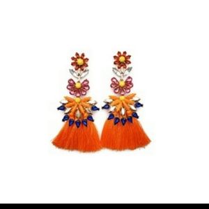 Beautiful Boho Tassle Earrings